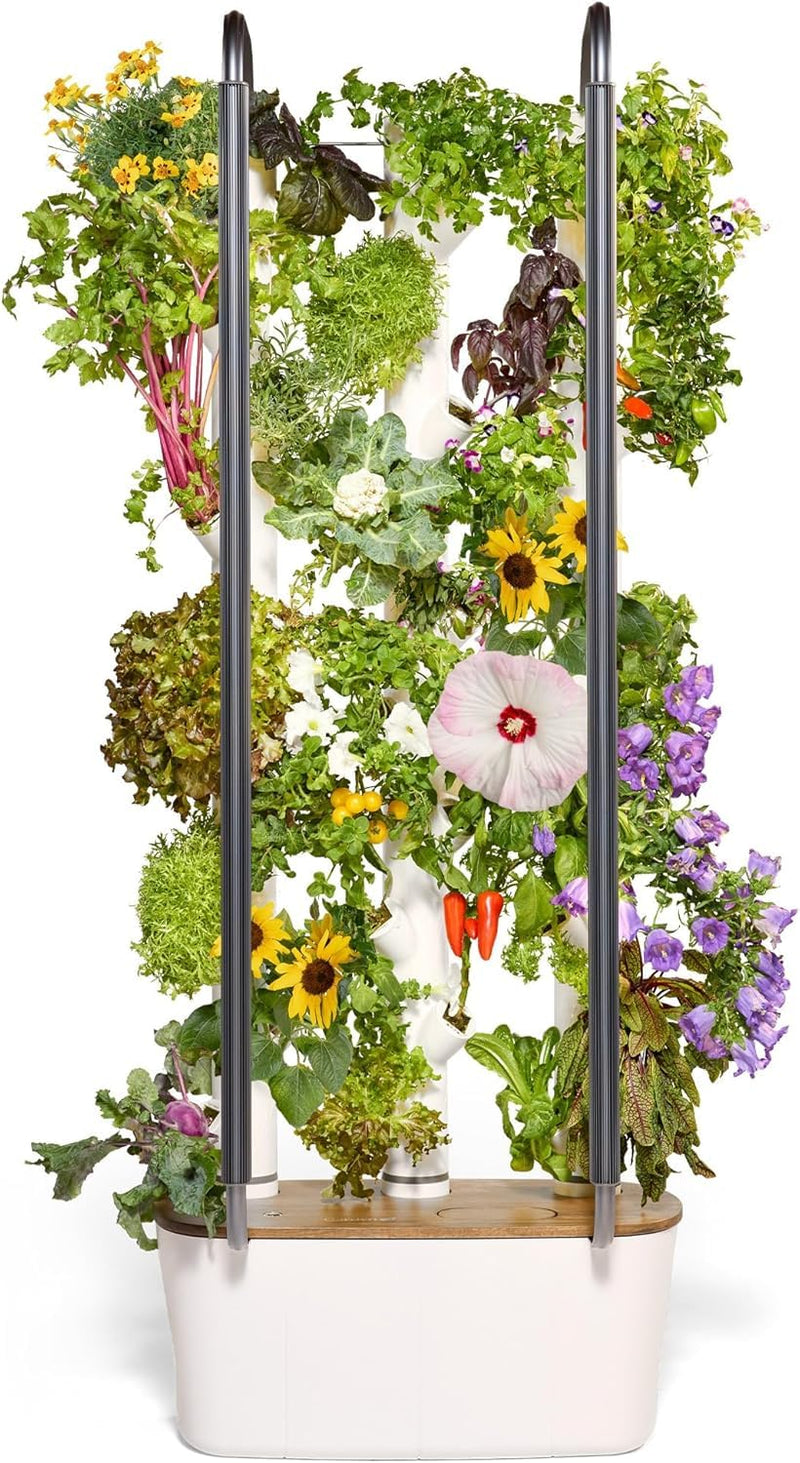 Gardyn Hydroponics Growing System 4.0 & Vertical Garden Planter | Indoor Smart Garden| Includes 30 Non-GMO Indoor Plants, Herbs & Vegetables & LED Grow Lights for Your Home Indoor Gardening System